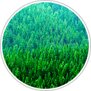 materias-prima-colchoes-biflex